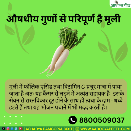 Arogya-Peeth-Wellness-Neurotherapy-Treatment-Training-Acharya-Ram-Gopal-Dixit-BTU-Digree-Course-Wellness-Neurotherapy-Global-Summit-2023-Vishal-Aarogya-Shivi-Mega-Treatment-Camp-आचार्य-राम-ग10